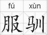 服驯的拼音