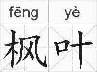 枫叶的拼音