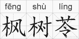 枫树苓的拼音