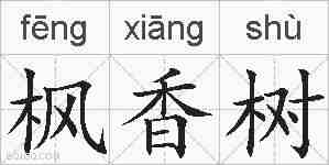 枫香树的拼音