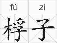 桴子的拼音