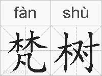 梵树的拼音