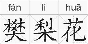 樊梨花的拼音