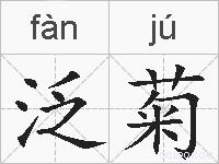 泛菊的拼音