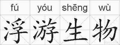 浮游生物的拼音