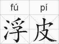 浮皮的拼音