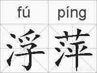 浮萍的拼音