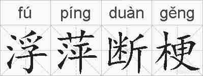 浮萍断梗的拼音
