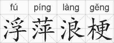 浮萍浪梗的拼音