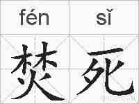 焚死的拼音