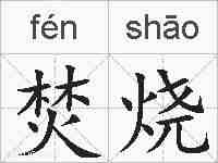 焚烧的拼音