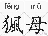猦母的拼音