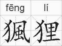 猦狸的拼音