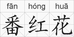 番红花的拼音