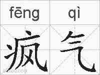 疯气的拼音