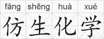 仿生化学的拼音