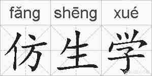 仿生学的拼音