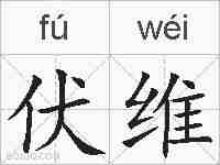 伏维的拼音