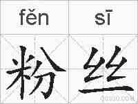 粉丝的拼音