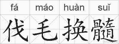 伐毛换髓的拼音