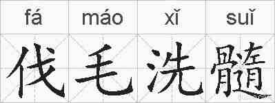 伐毛洗髓的拼音