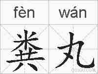 粪丸的拼音
