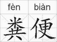粪便的拼音