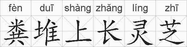 粪堆上长灵芝的拼音