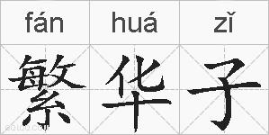 繁华子的拼音