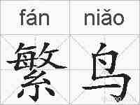 繁鸟的拼音