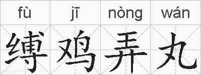 缚鸡弄丸的拼音
