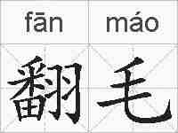 翻毛的拼音