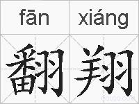 翻翔的拼音