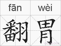 翻胃的拼音