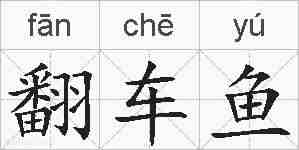 翻车鱼的拼音