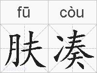 肤凑的拼音