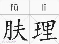 肤理的拼音