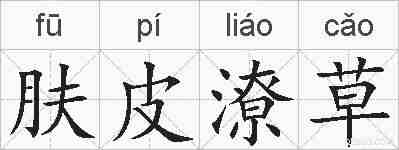肤皮潦草的拼音