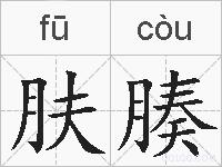 肤腠的拼音
