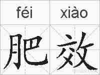 肥效的拼音