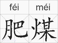 肥煤的拼音