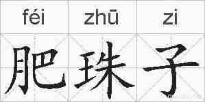 肥珠子的拼音
