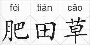 肥田草的拼音