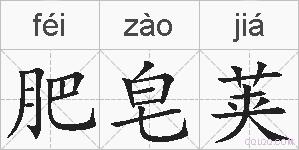 肥皂荚的拼音