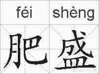肥盛的拼音
