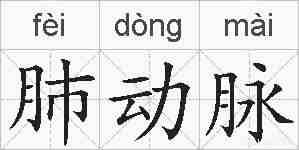肺动脉的拼音