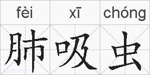 肺吸虫的拼音