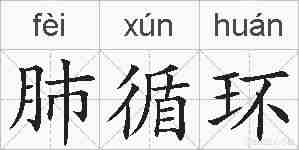 肺循环的拼音