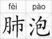 肺泡的拼音