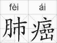 肺癌的拼音